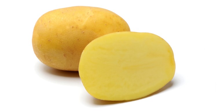 EUROPLANT Potato Seed