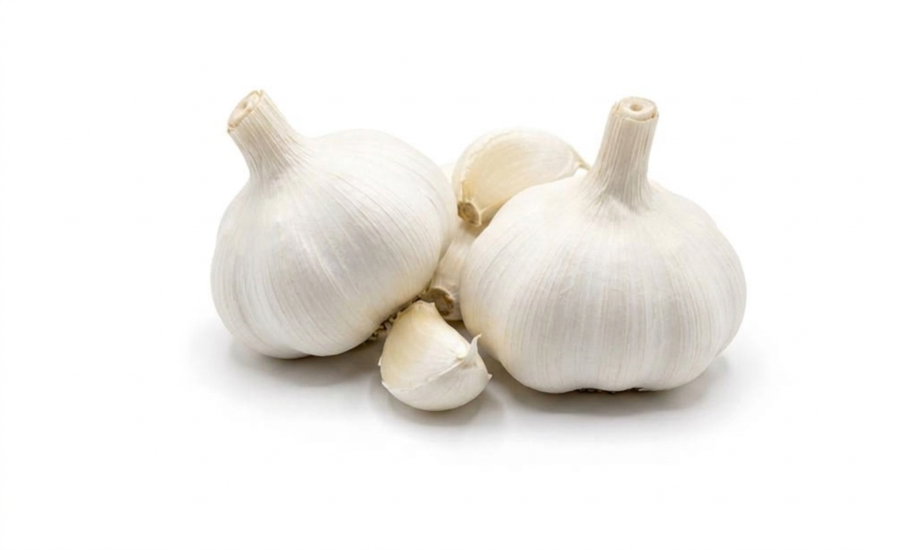 Garlic