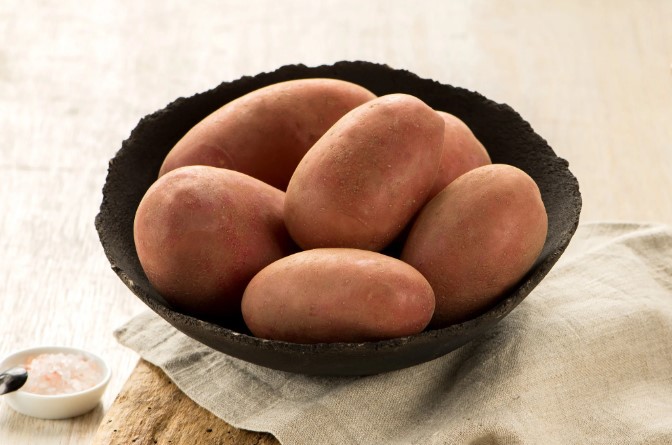 Sanibel Potato Seed
