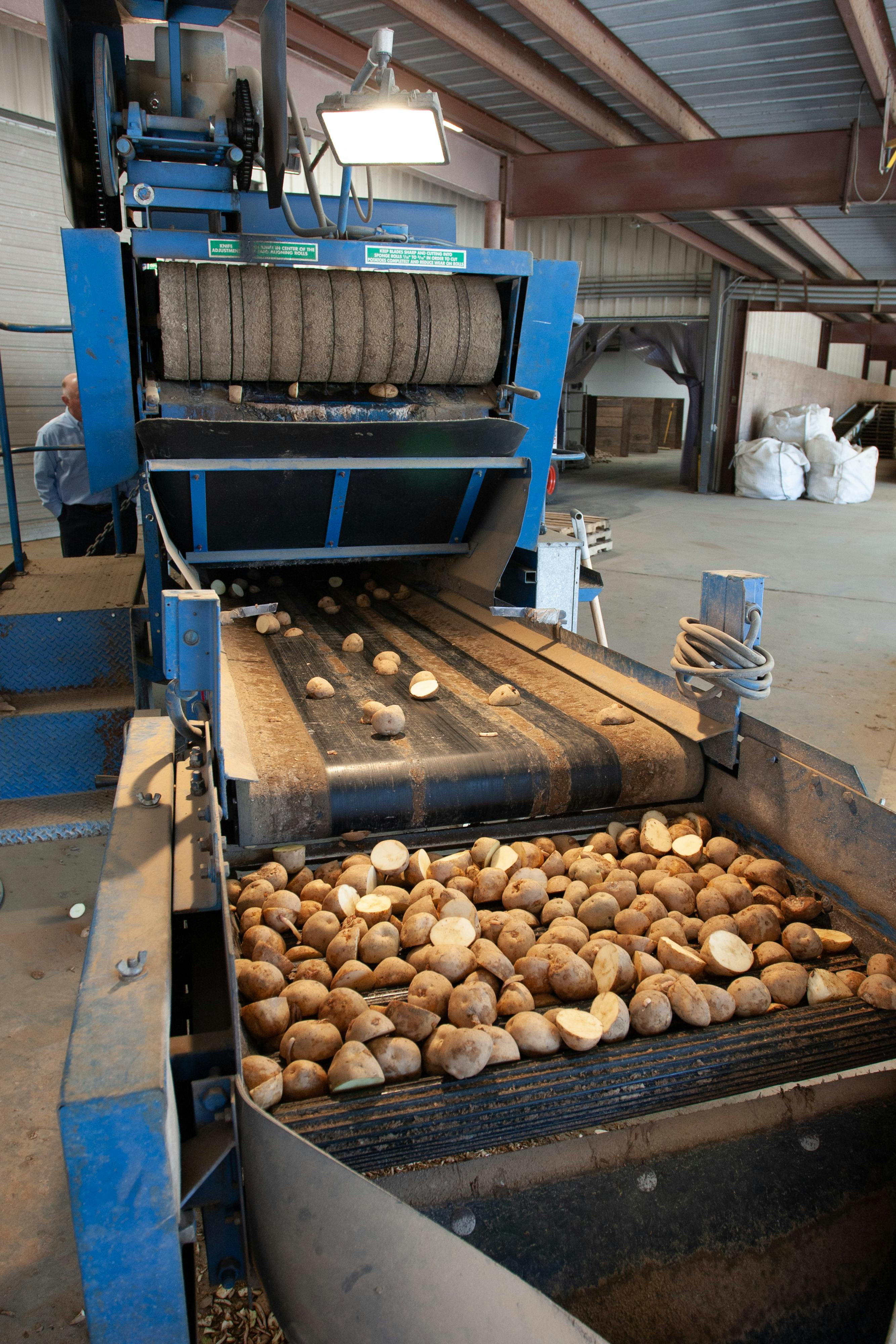 Potato Processing Unit